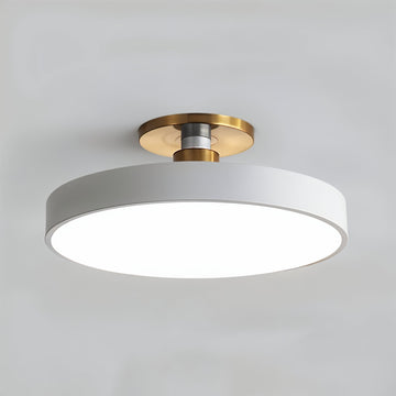 Ceiling Light
