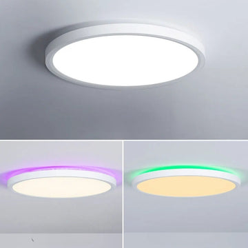 LexaNova - Smart Ceiling Light Fixture