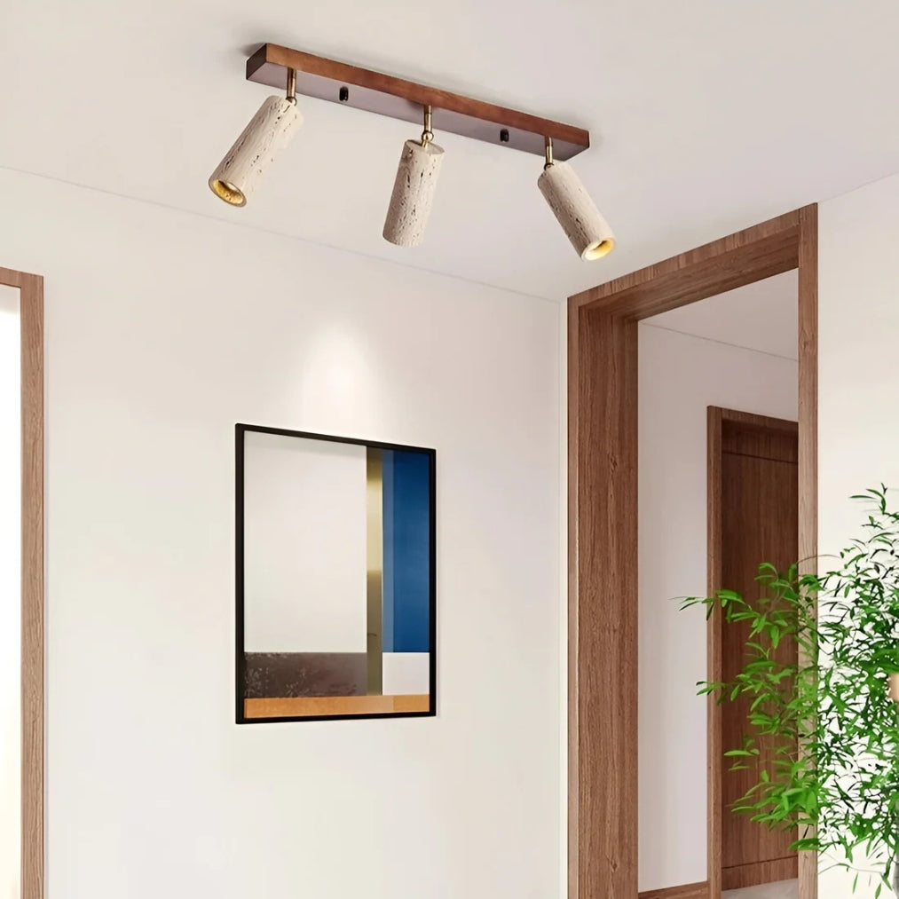 LumiSpot - Adjustable LED 3 Spotlight Ceiling Light
