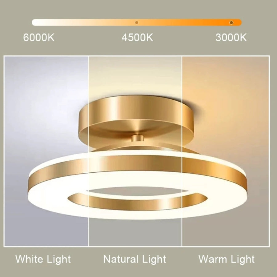 Orbique - LED Flush Mount Ceiling Light